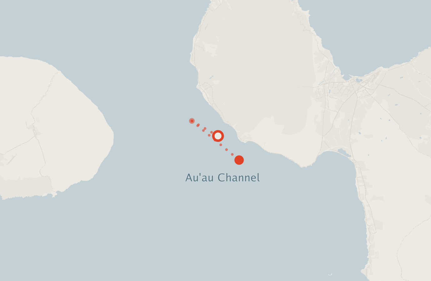 Activity map — real sighting points on an OpenStreetMap basemap