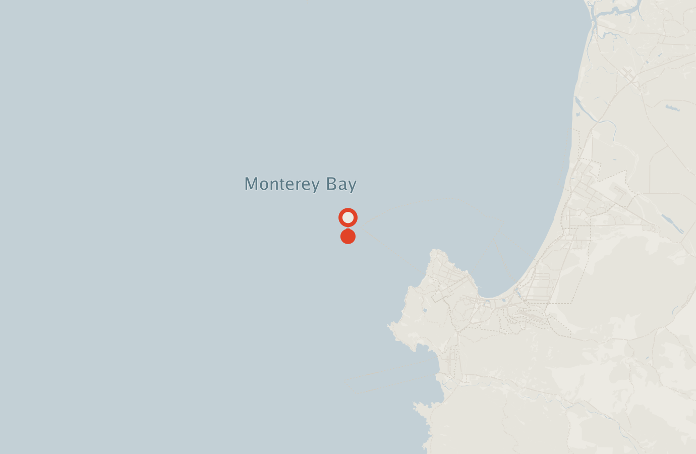 Activity map — real sighting points on an OpenStreetMap basemap