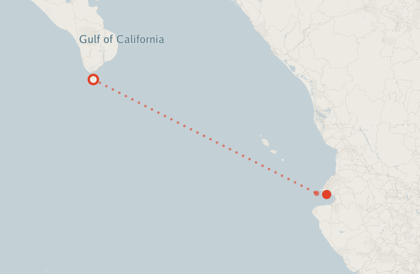 Activity map — real sighting points on an OpenStreetMap basemap