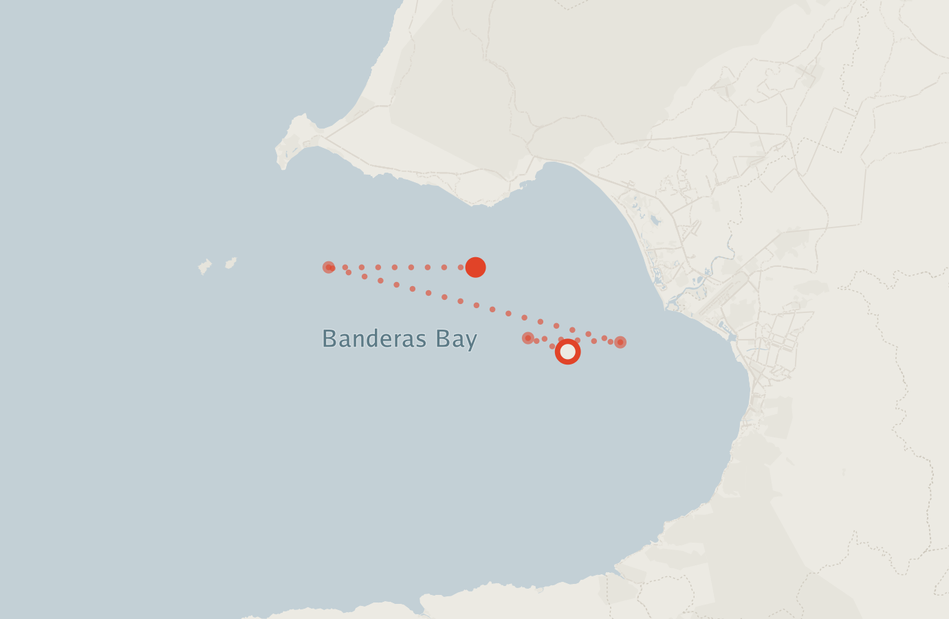 Activity map — real sighting points on an OpenStreetMap basemap