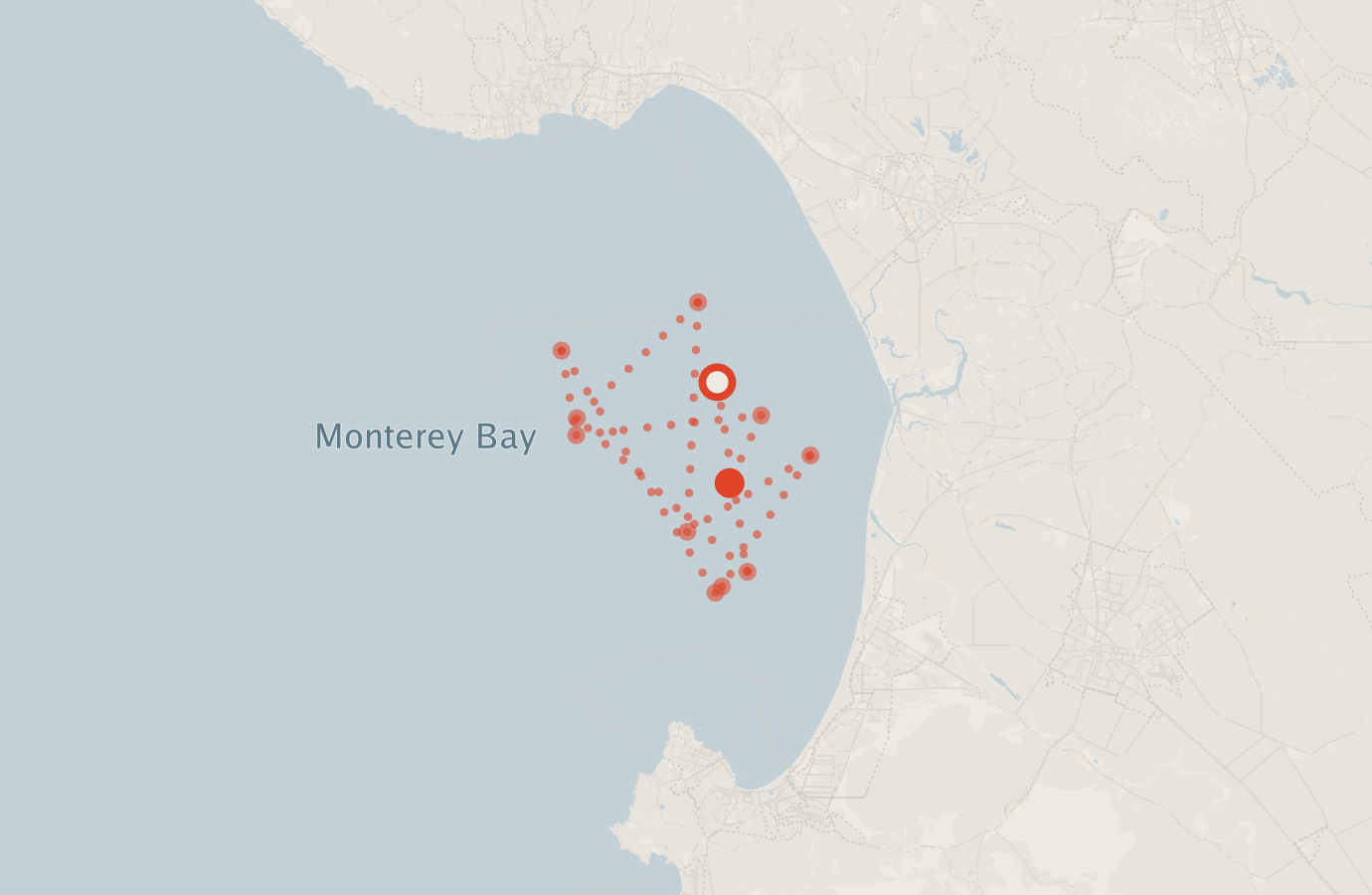 Activity map — real sighting points on an OpenStreetMap basemap