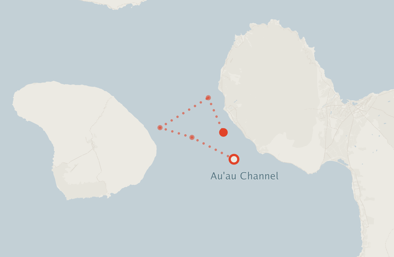 Activity map — real sighting points on an OpenStreetMap basemap