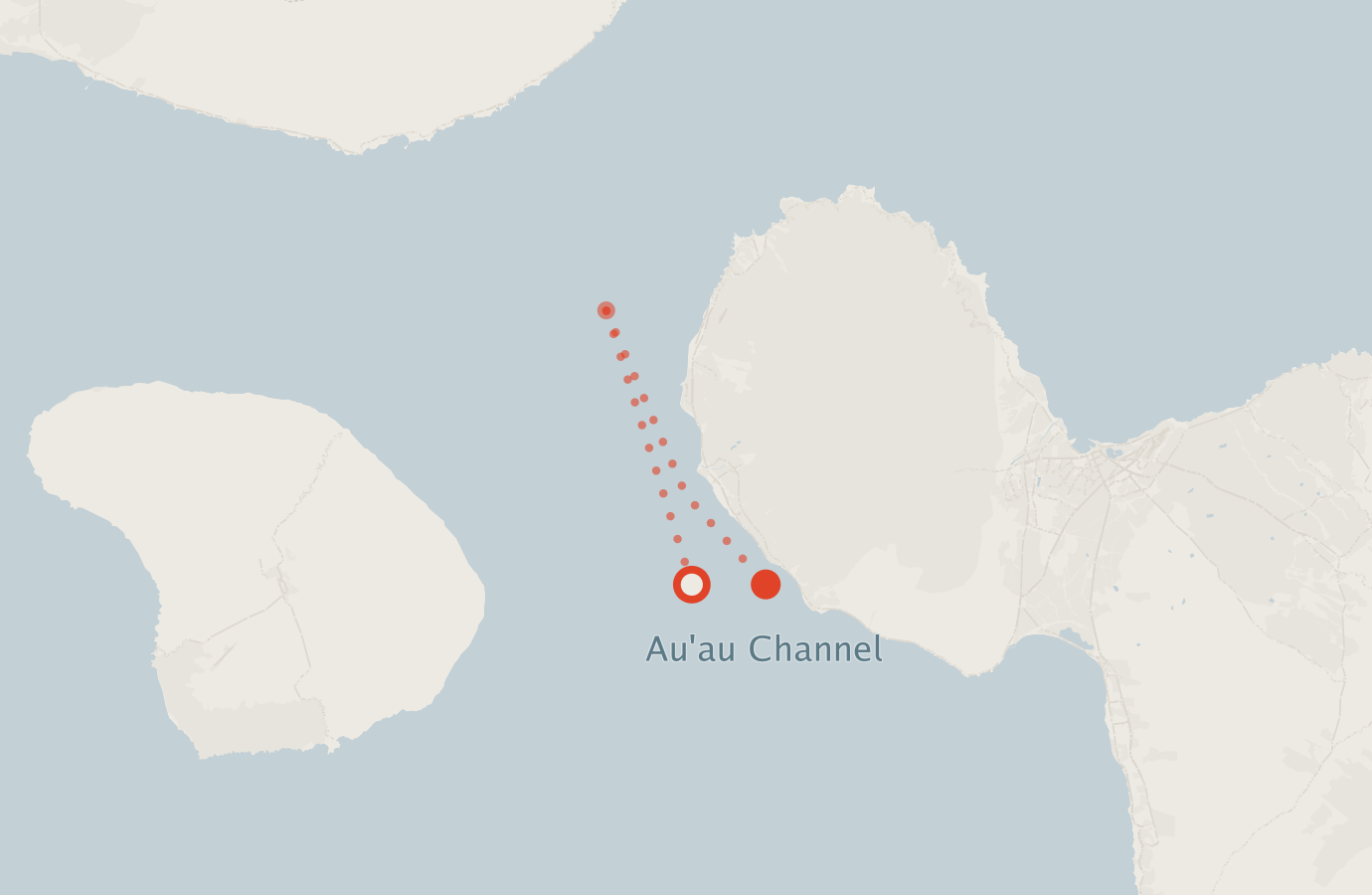 Activity map — real sighting points on an OpenStreetMap basemap