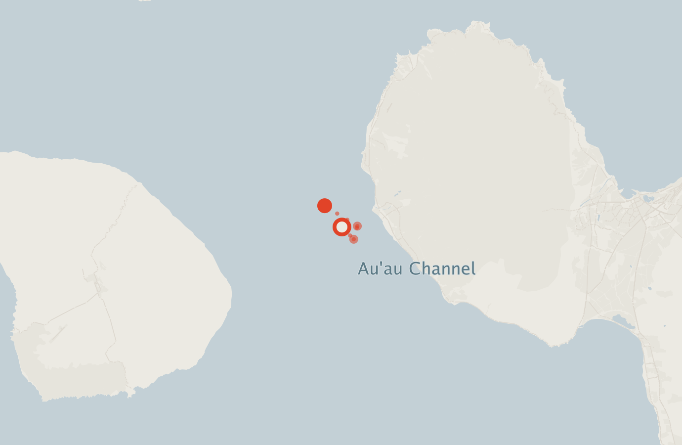 Activity map — real sighting points on an OpenStreetMap basemap