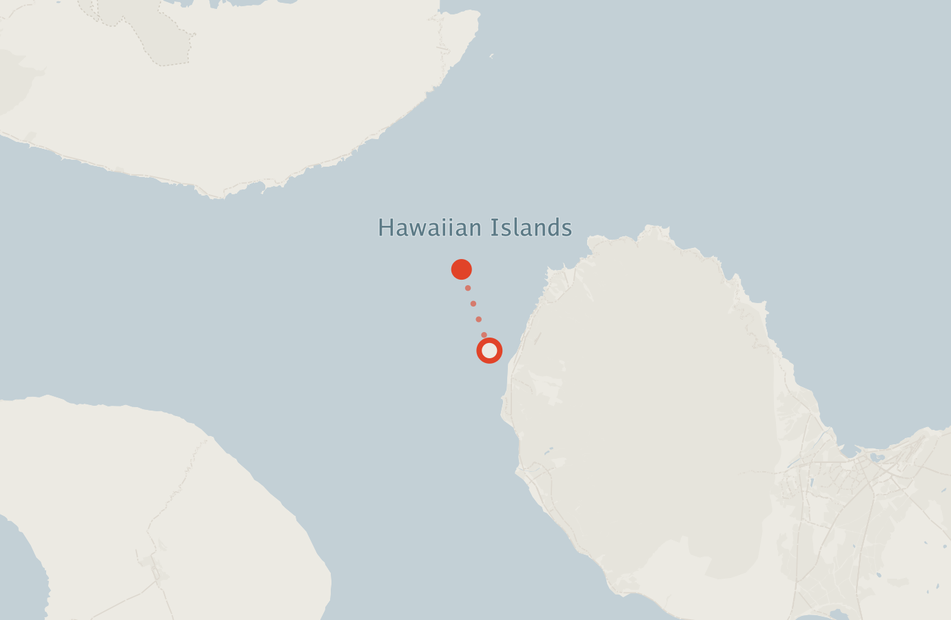 Activity map — real sighting points on an OpenStreetMap basemap