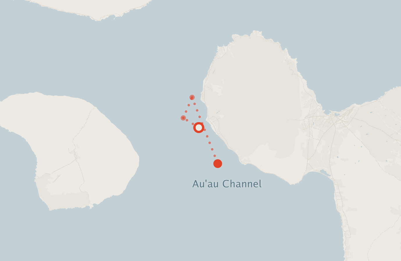 Activity map — real sighting points on an OpenStreetMap basemap