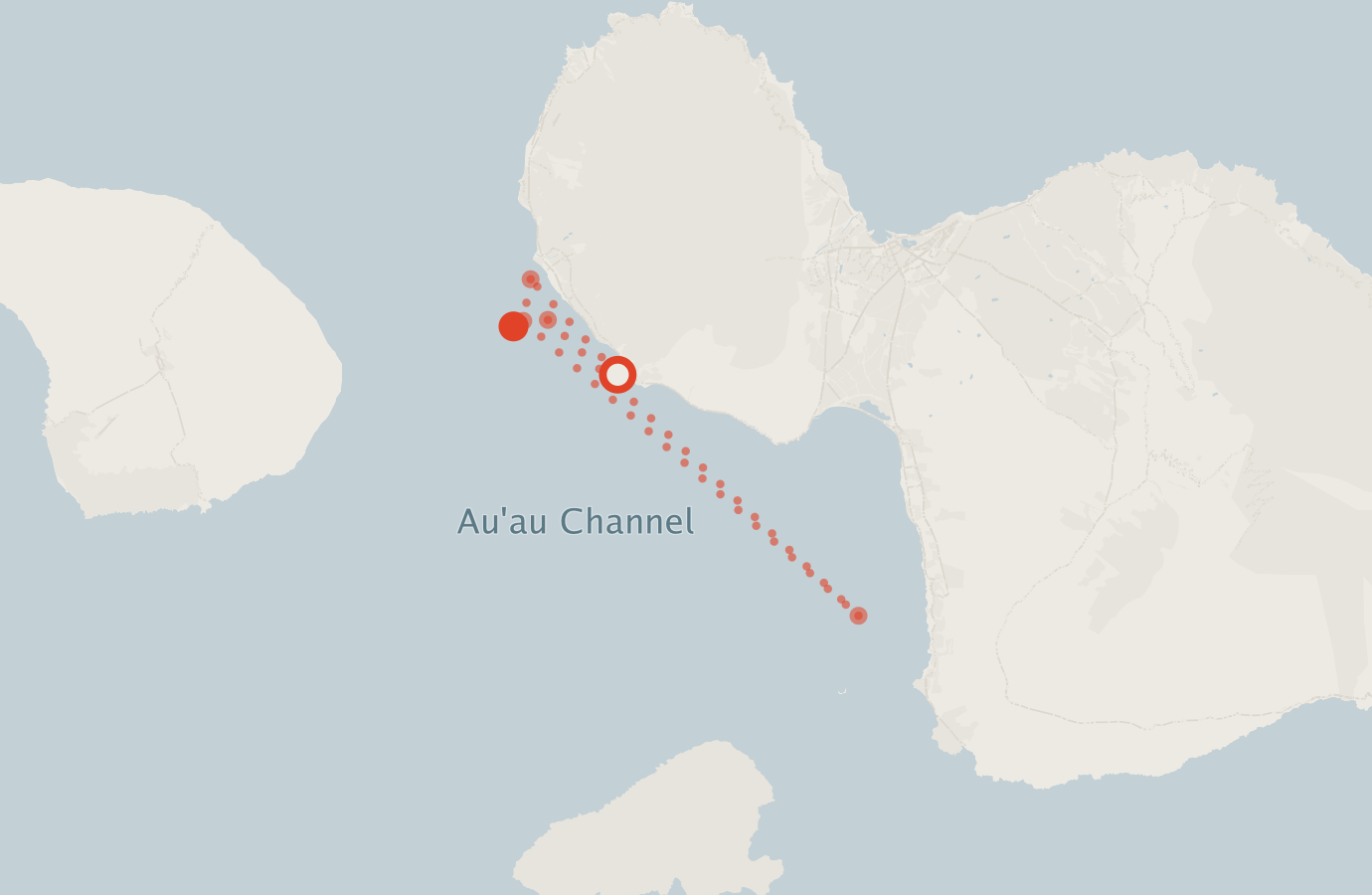 Activity map — real sighting points on an OpenStreetMap basemap