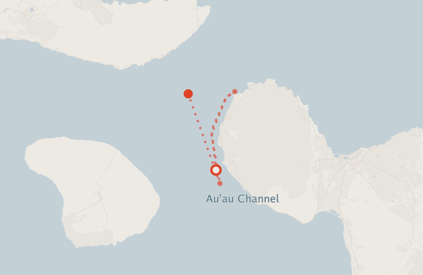 Activity map — real sighting points on an OpenStreetMap basemap