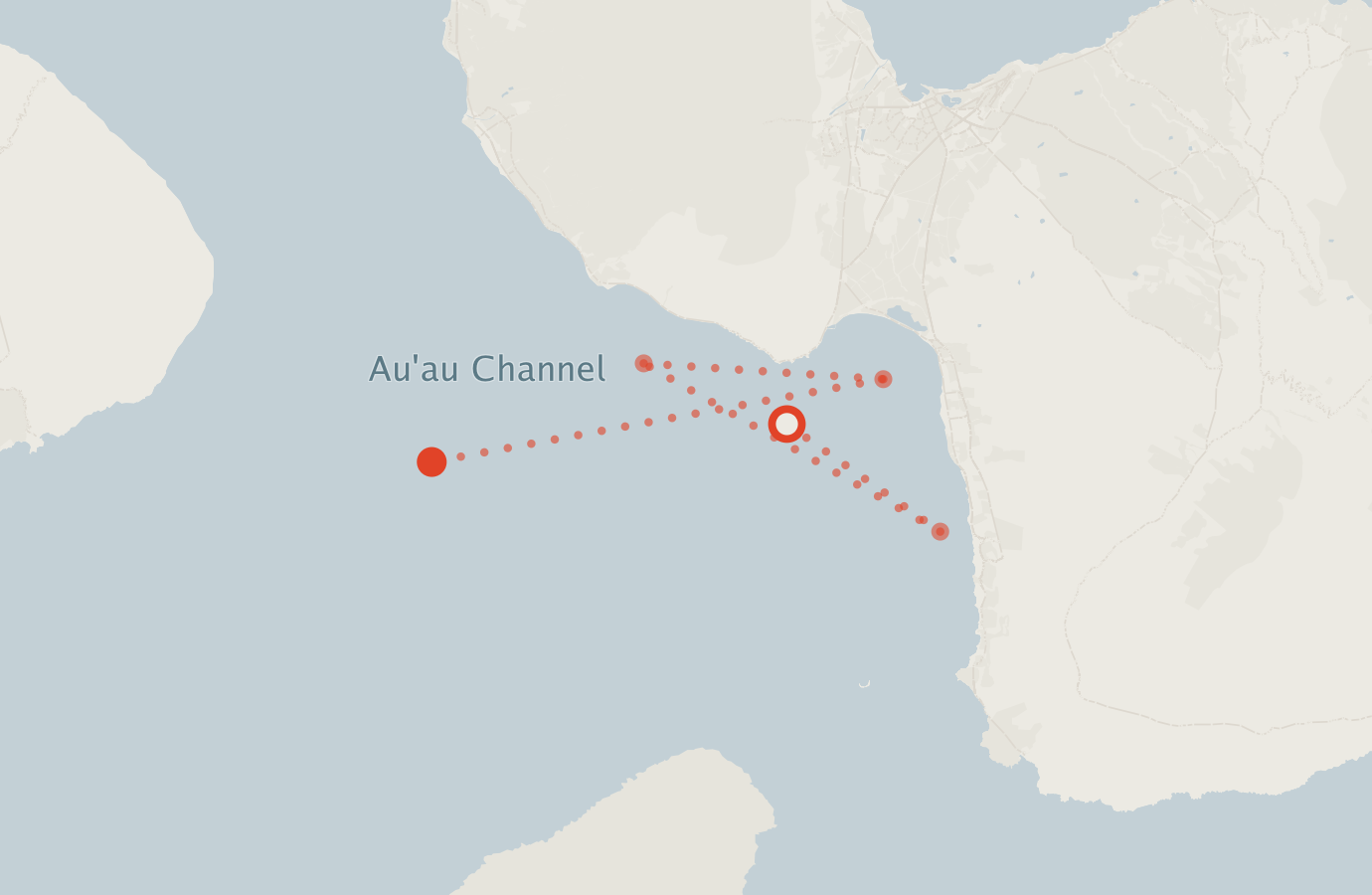 Activity map — real sighting points on an OpenStreetMap basemap