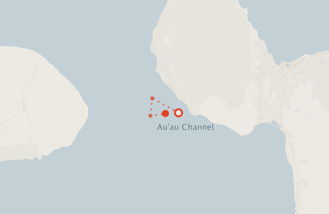 Activity map — real sighting points on an OpenStreetMap basemap