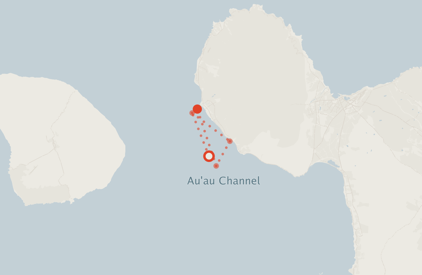 Activity map — real sighting points on an OpenStreetMap basemap
