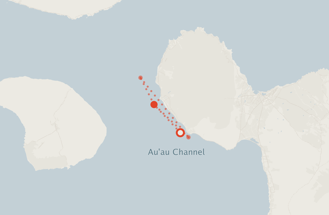 Activity map — real sighting points on an OpenStreetMap basemap