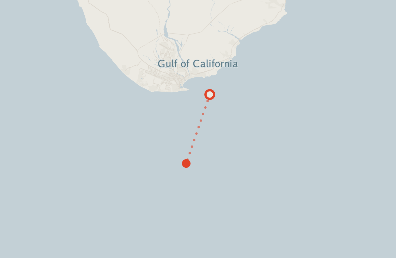 Activity map — real sighting points on an OpenStreetMap basemap