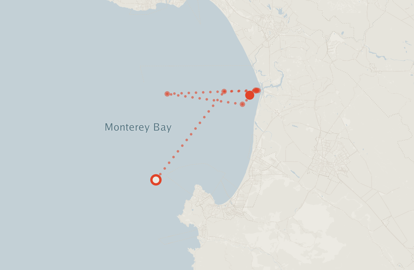 Activity map — real sighting points on an OpenStreetMap basemap