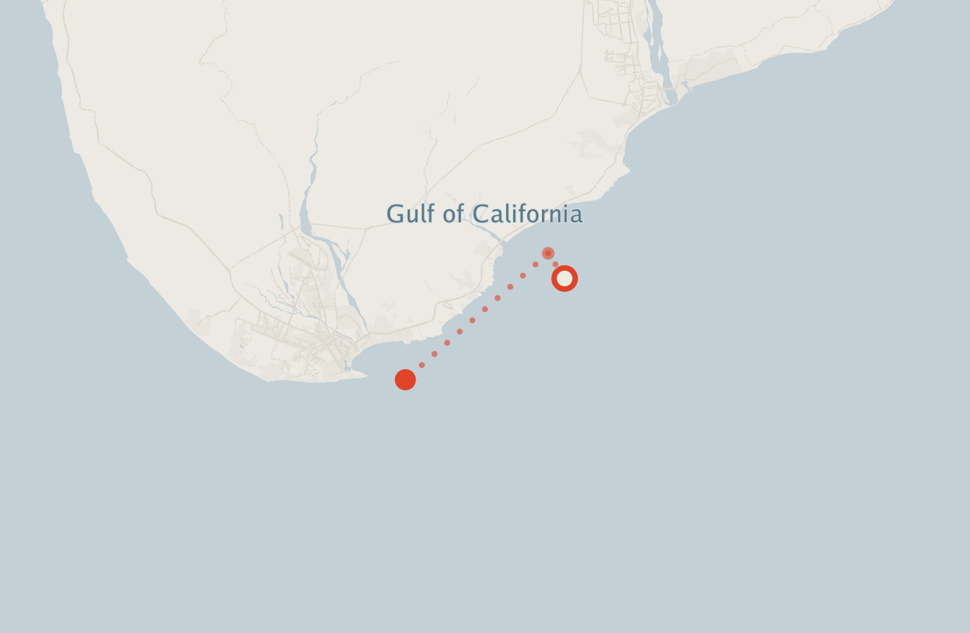 Activity map — real sighting points on an OpenStreetMap basemap