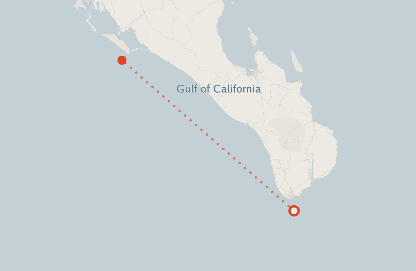 Activity map — real sighting points on an OpenStreetMap basemap