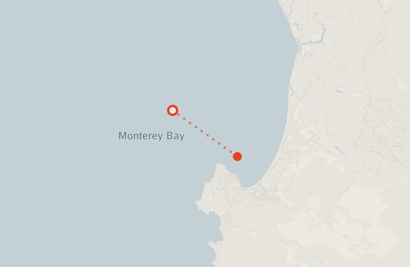 Activity map — real sighting points on an OpenStreetMap basemap