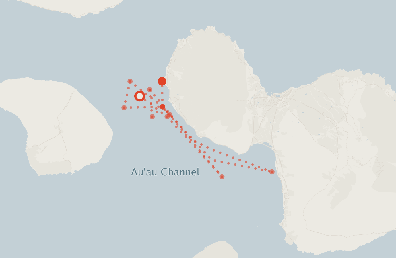 Activity map — real sighting points on an OpenStreetMap basemap