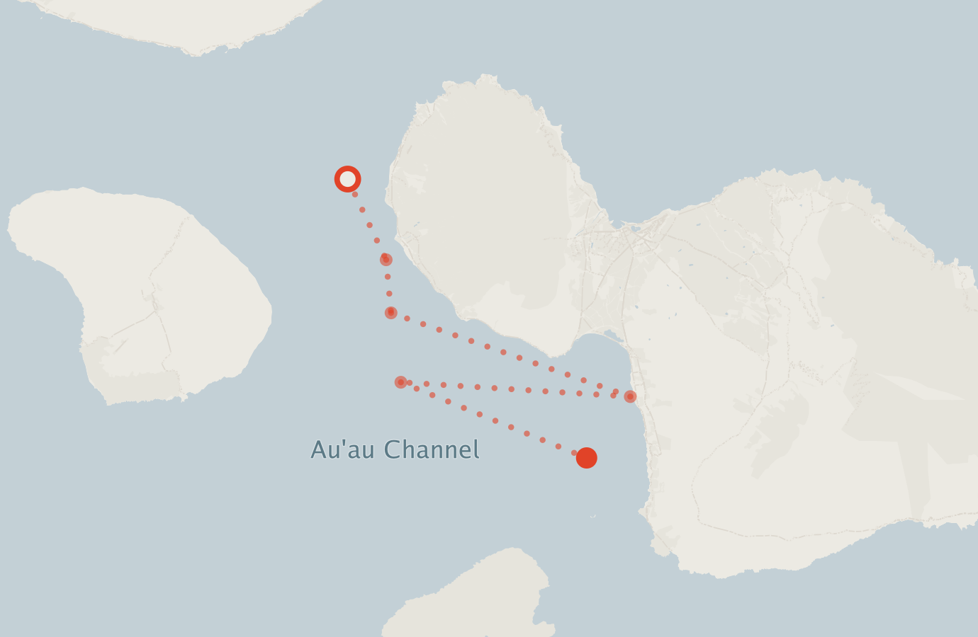 Activity map — real sighting points on an OpenStreetMap basemap