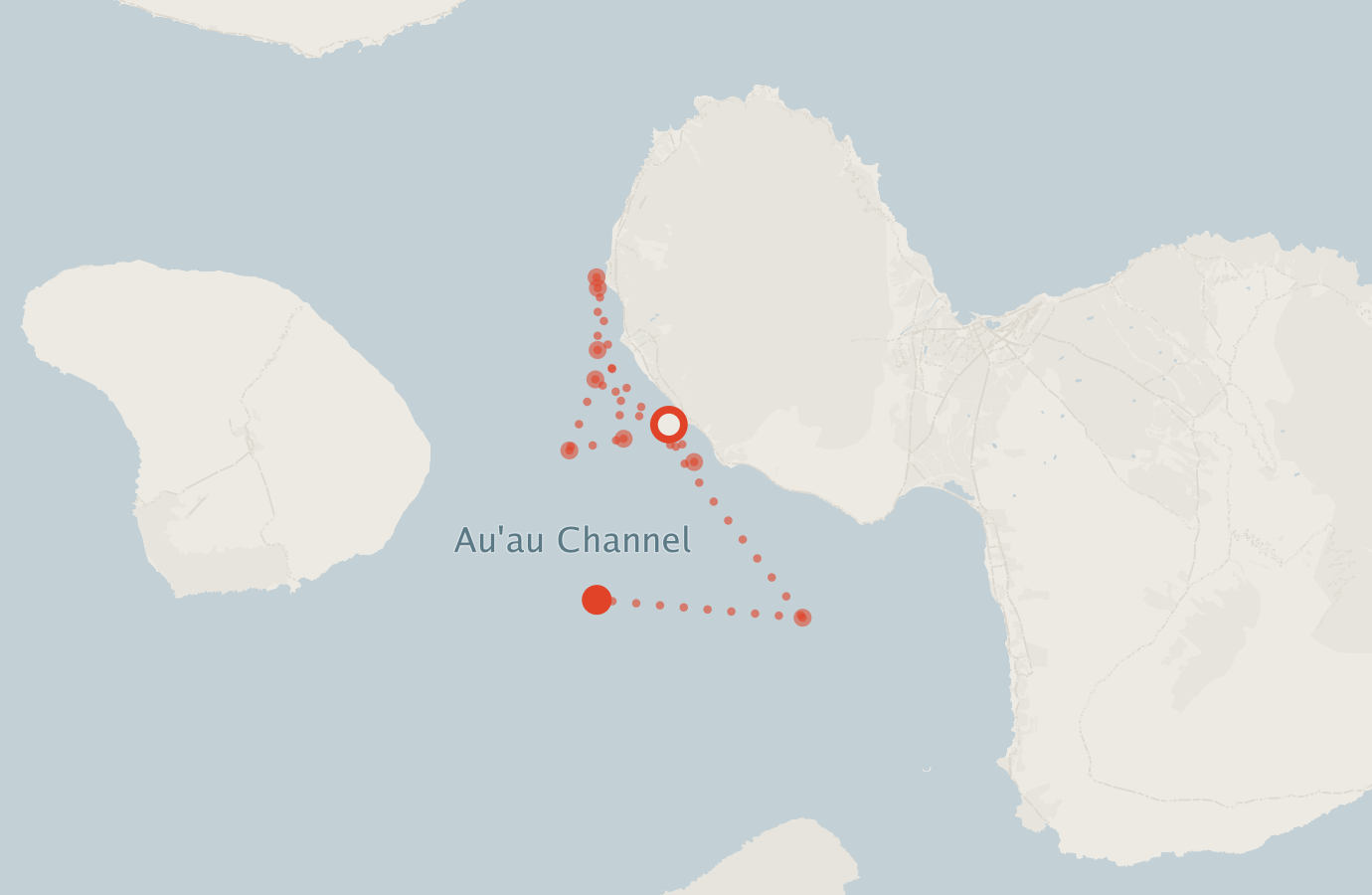 Activity map — real sighting points on an OpenStreetMap basemap