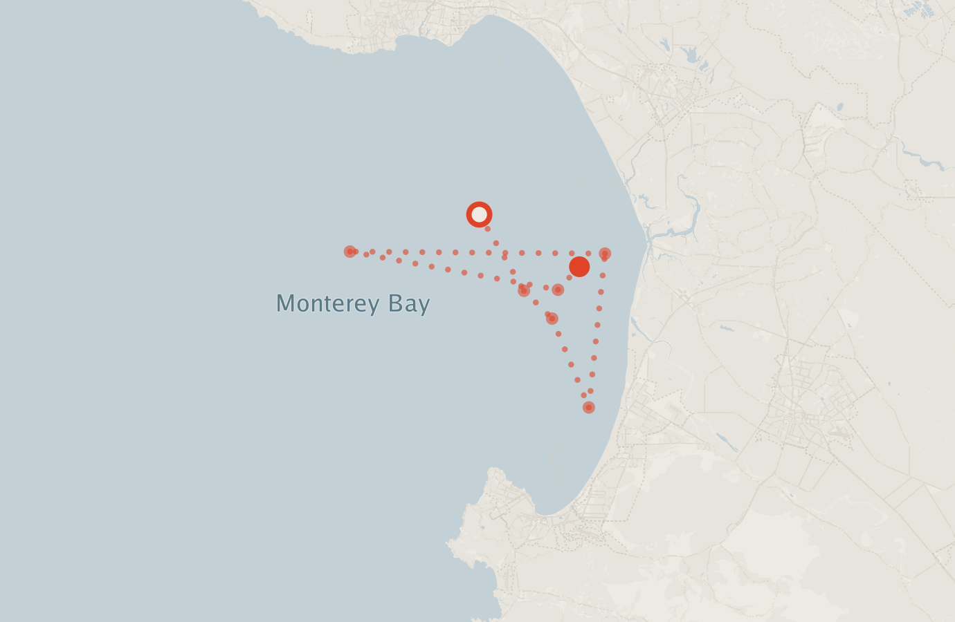 Activity map — real sighting points on an OpenStreetMap basemap