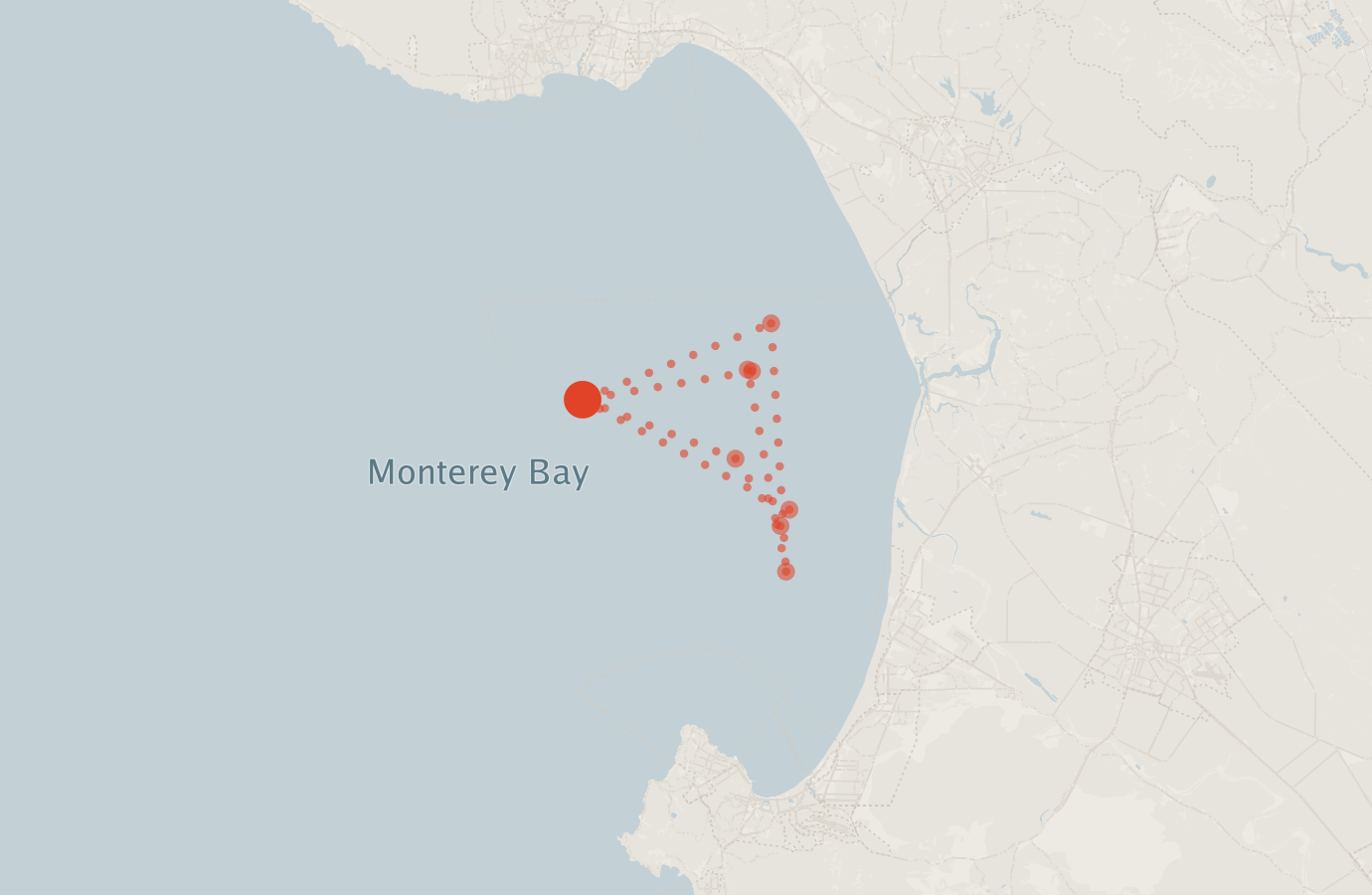 Activity map — real sighting points on an OpenStreetMap basemap