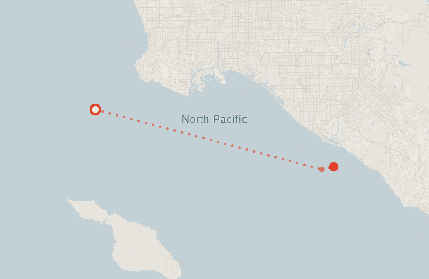 Activity map — real sighting points on an OpenStreetMap basemap