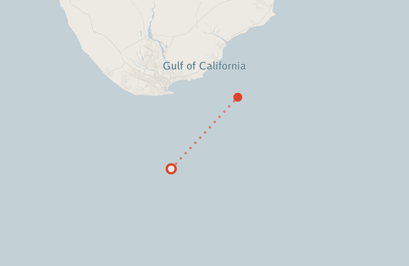 Activity map — real sighting points on an OpenStreetMap basemap