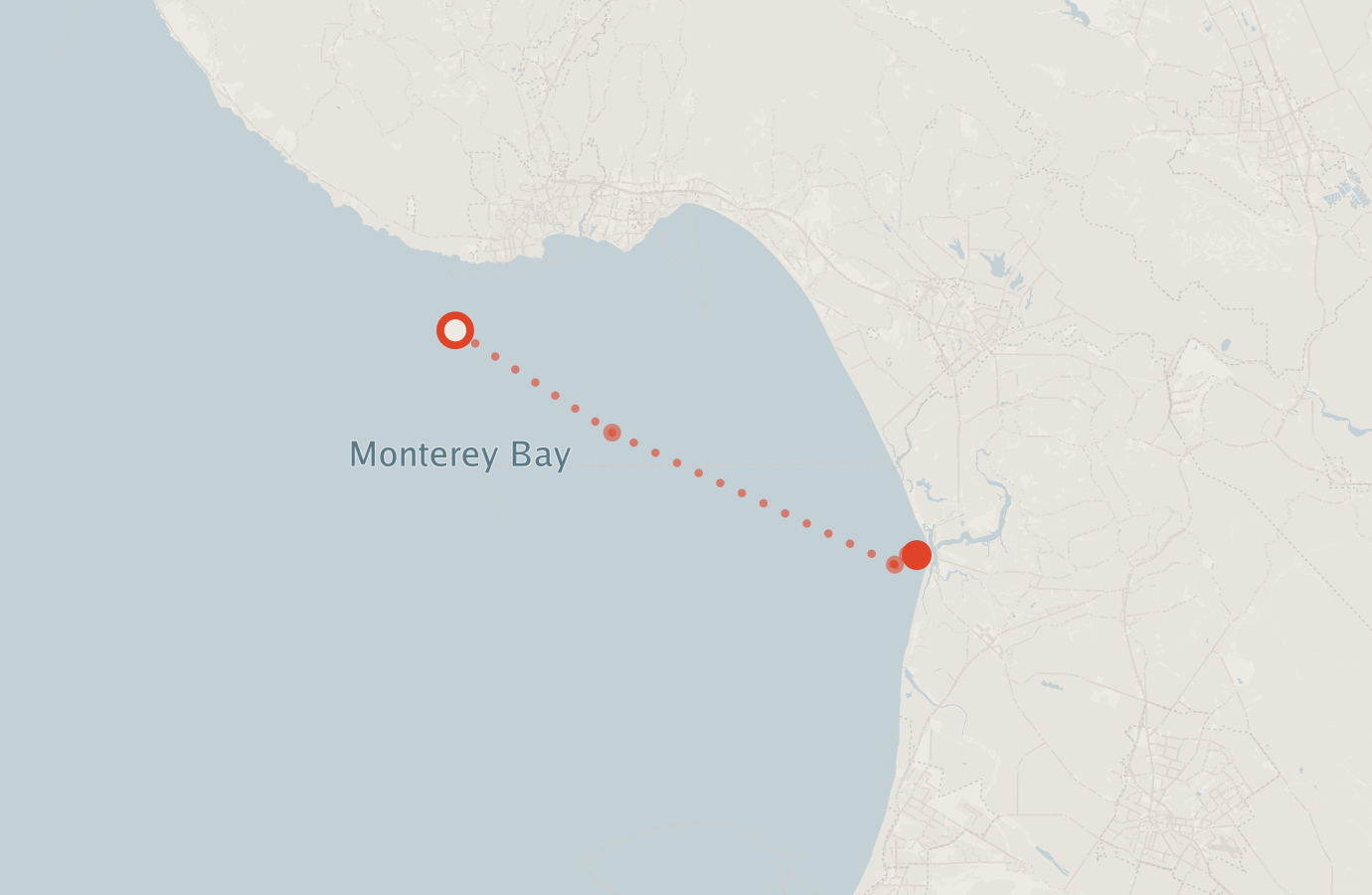 Activity map — real sighting points on an OpenStreetMap basemap