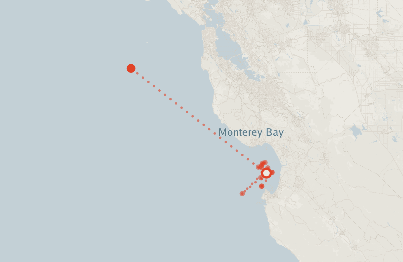 Activity map — real sighting points on an OpenStreetMap basemap