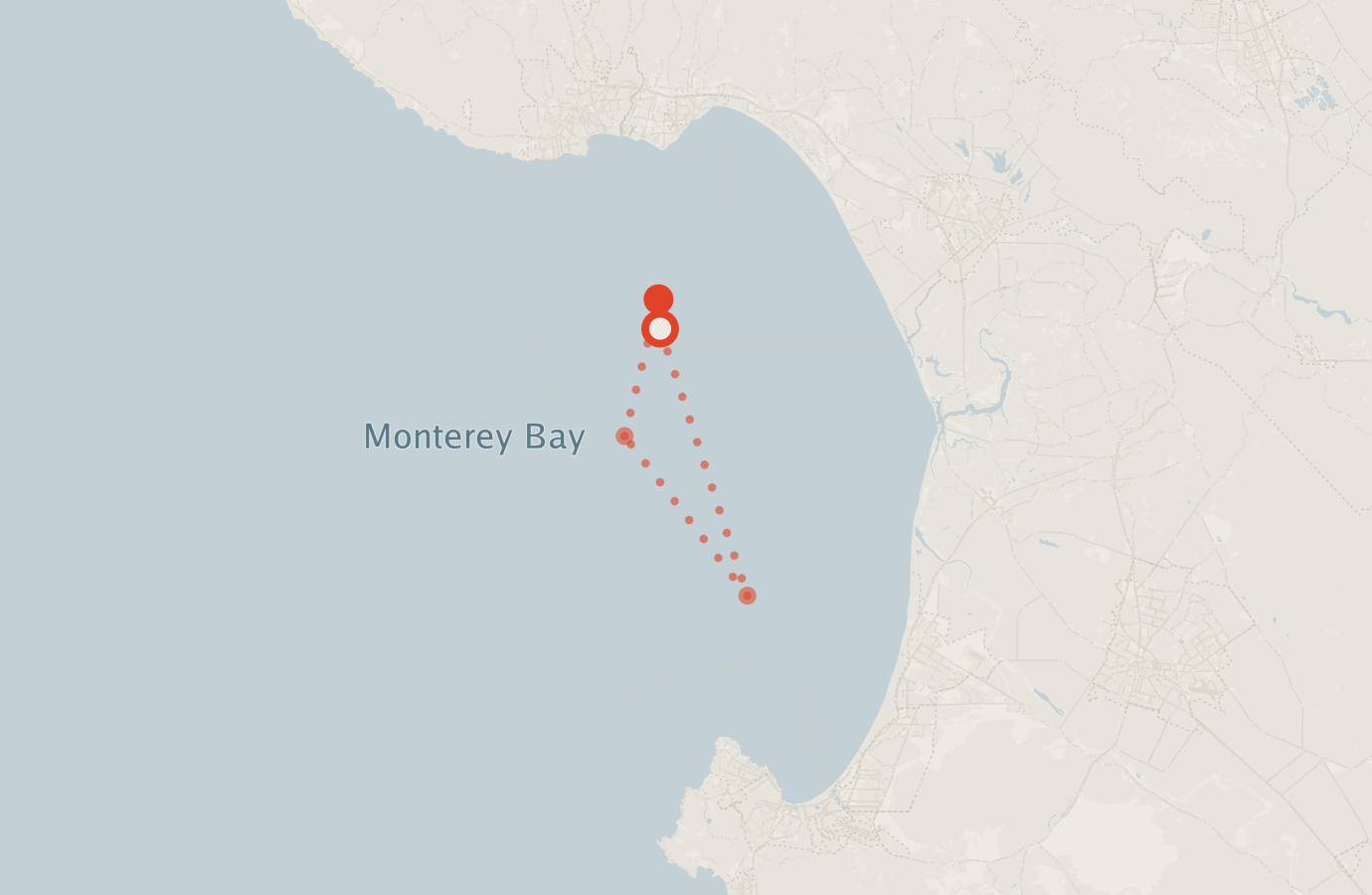 Activity map — real sighting points on an OpenStreetMap basemap