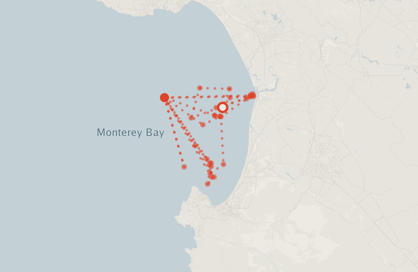 Activity map — real sighting points on an OpenStreetMap basemap