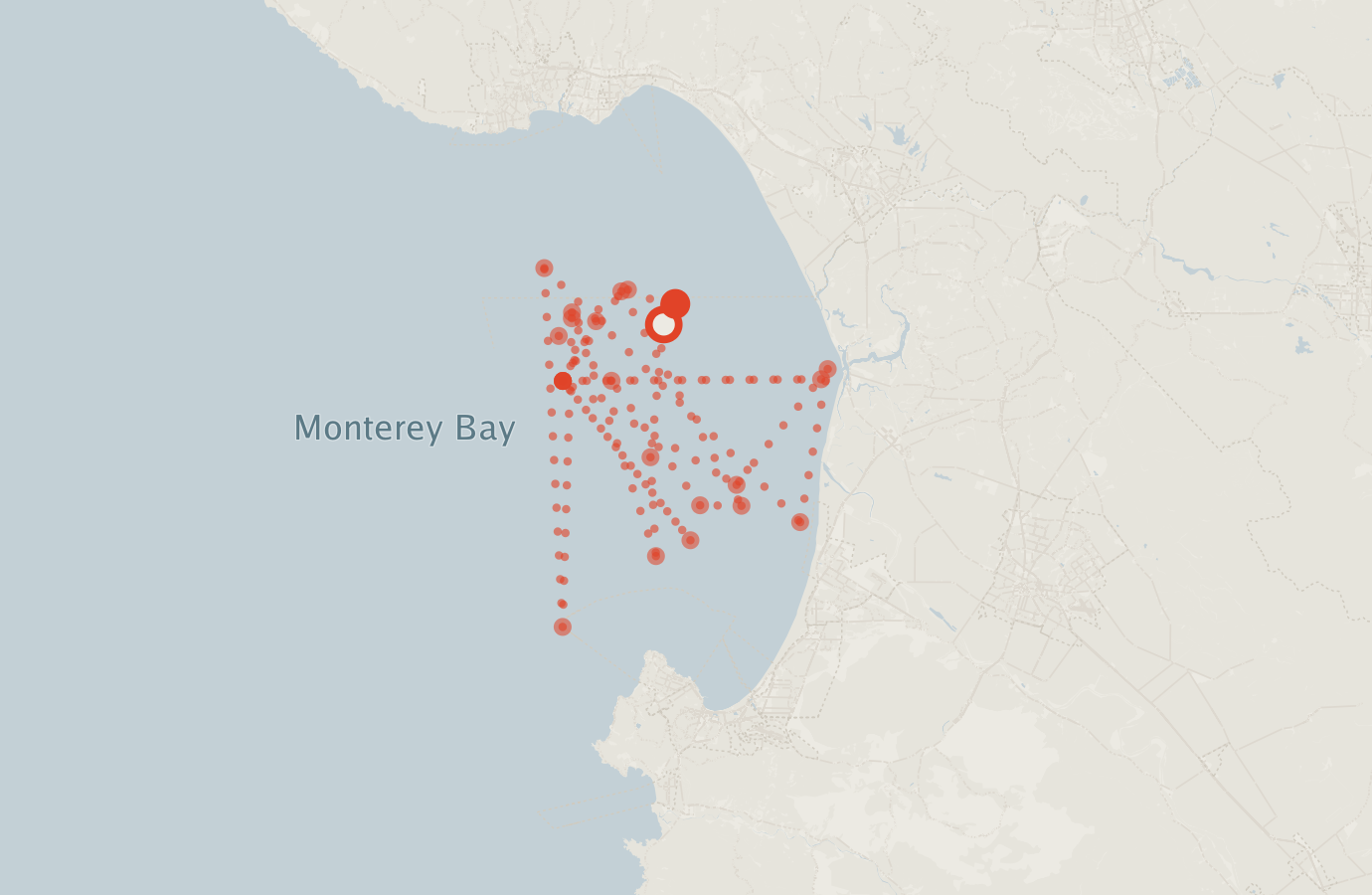 Activity map — real sighting points on an OpenStreetMap basemap