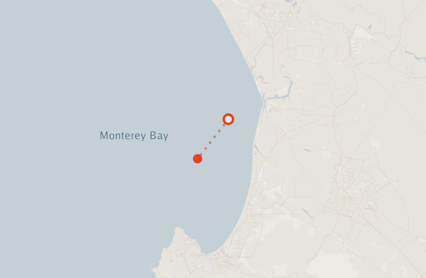 Activity map — real sighting points on an OpenStreetMap basemap
