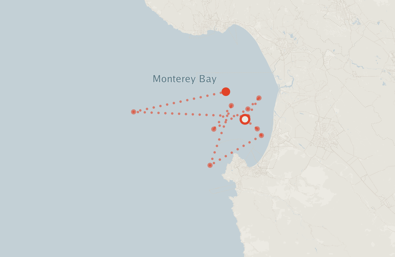 Activity map — real sighting points on an OpenStreetMap basemap