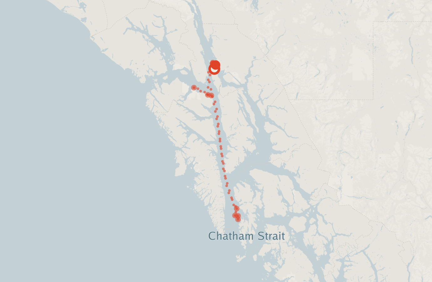Activity map — real sighting points on an OpenStreetMap basemap