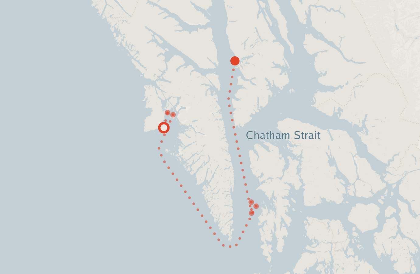Activity map — real sighting points on an OpenStreetMap basemap