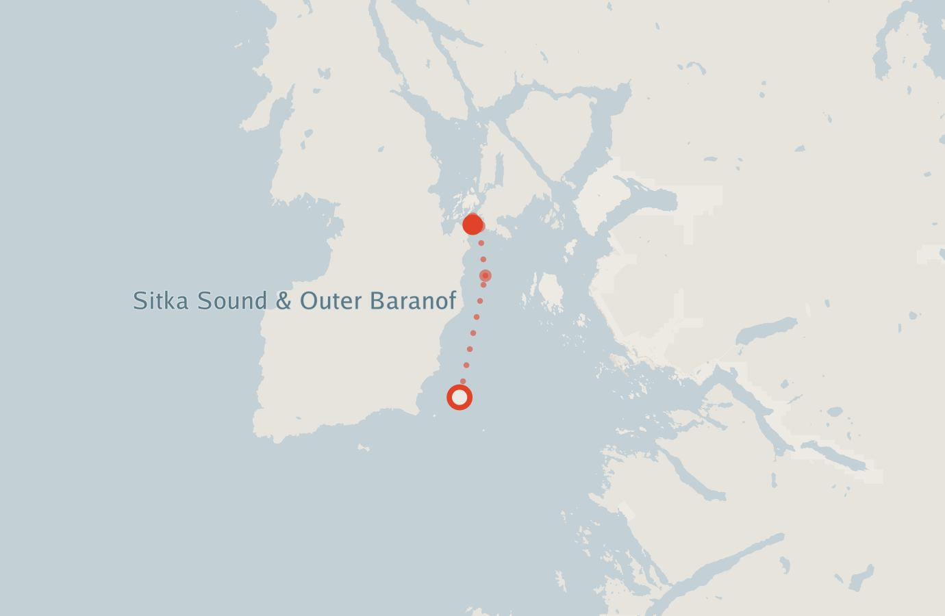 Activity map — real sighting points on an OpenStreetMap basemap