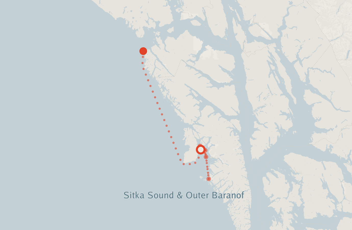 Activity map — real sighting points on an OpenStreetMap basemap
