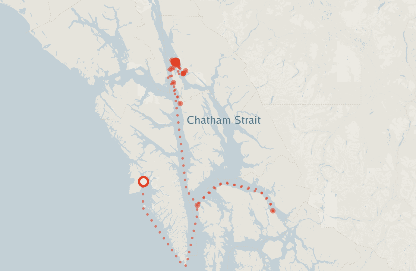 Activity map — real sighting points on an OpenStreetMap basemap