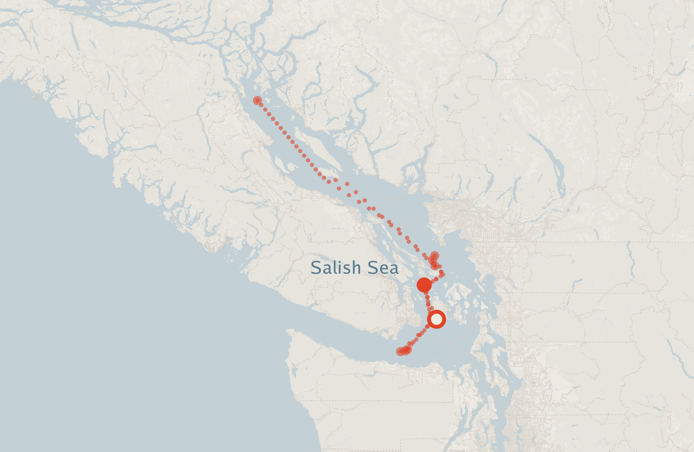 Activity map — real sighting points on an OpenStreetMap basemap