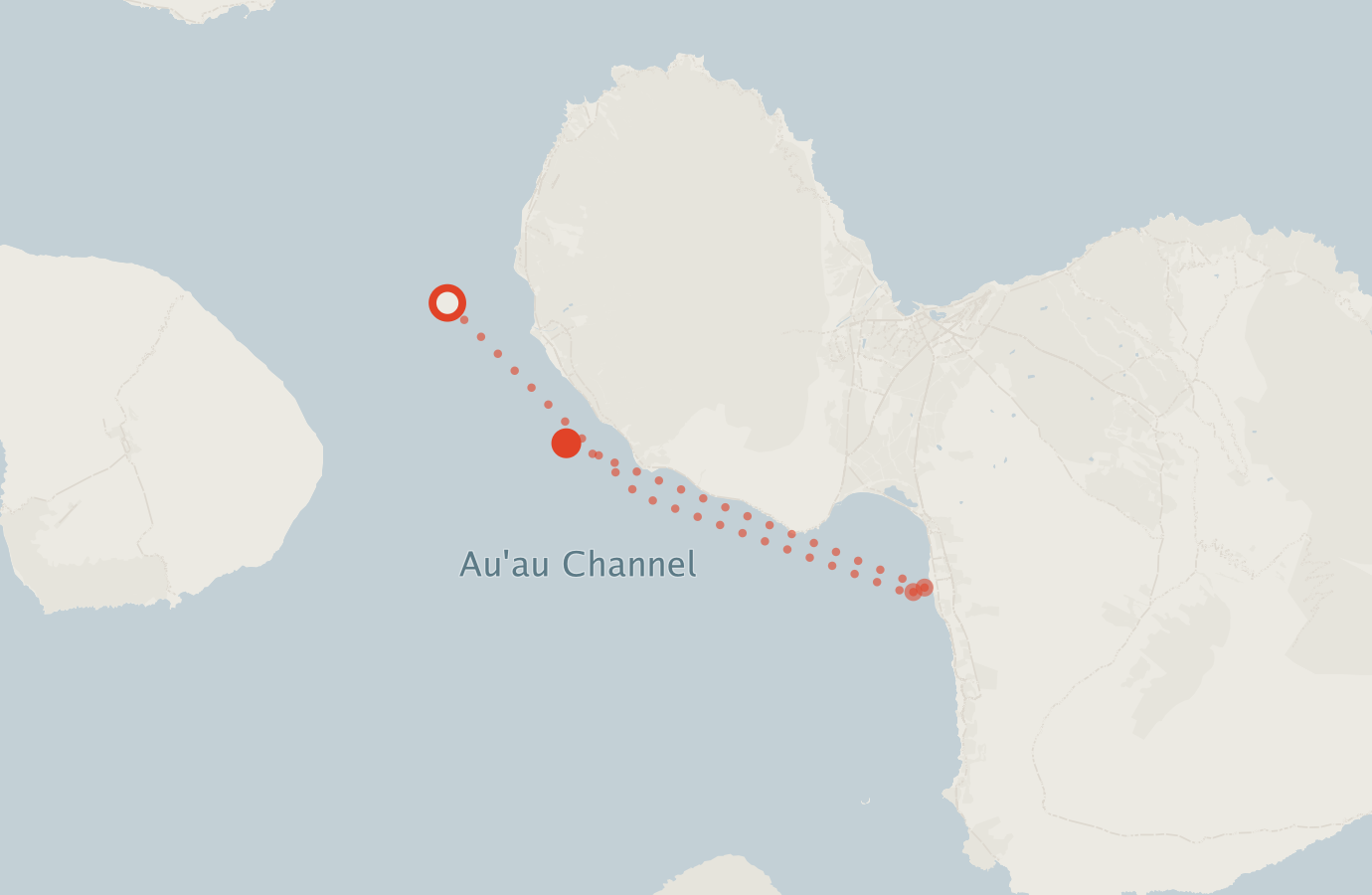 Activity map — real sighting points on an OpenStreetMap basemap