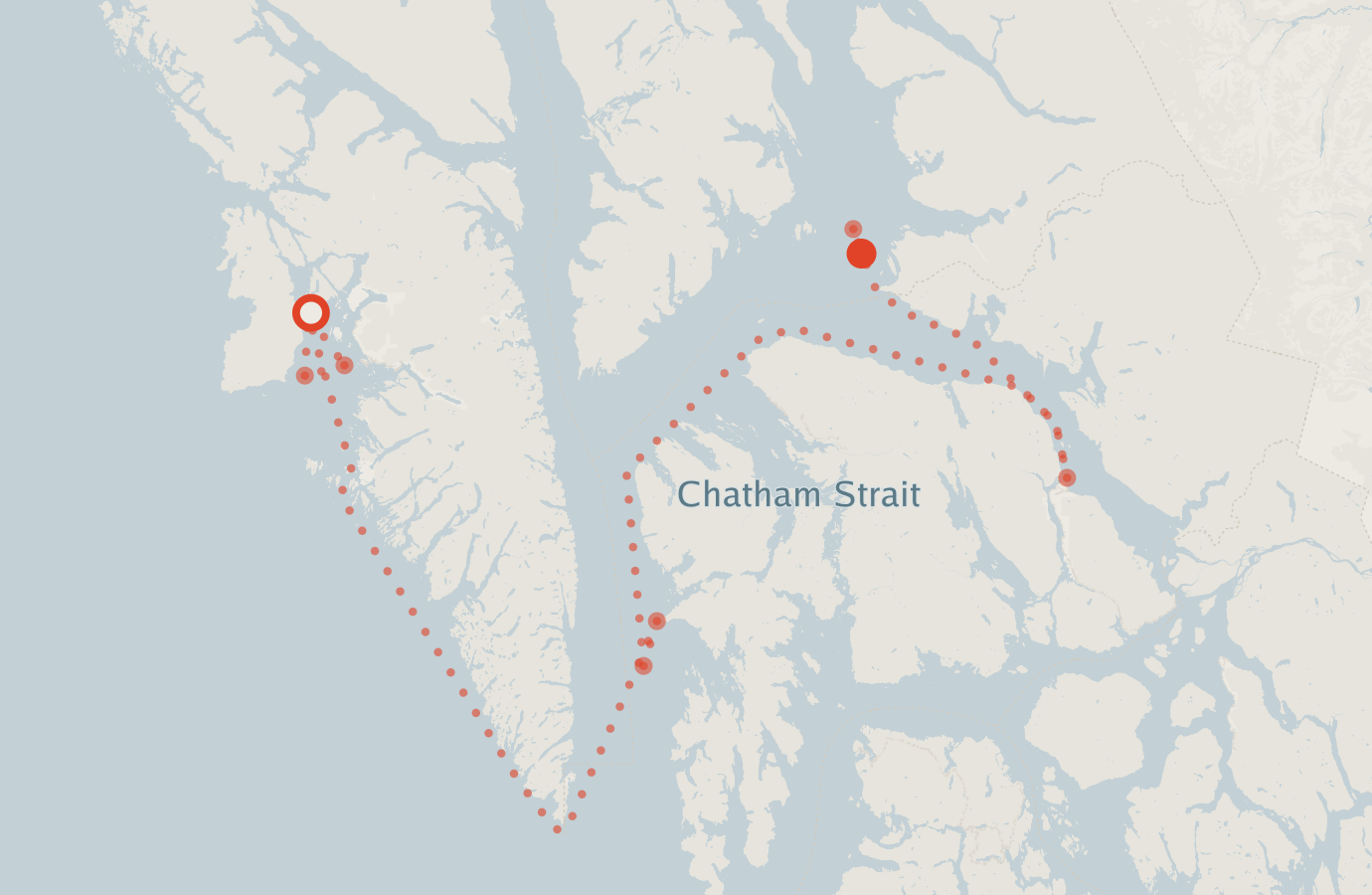 Activity map — real sighting points on an OpenStreetMap basemap
