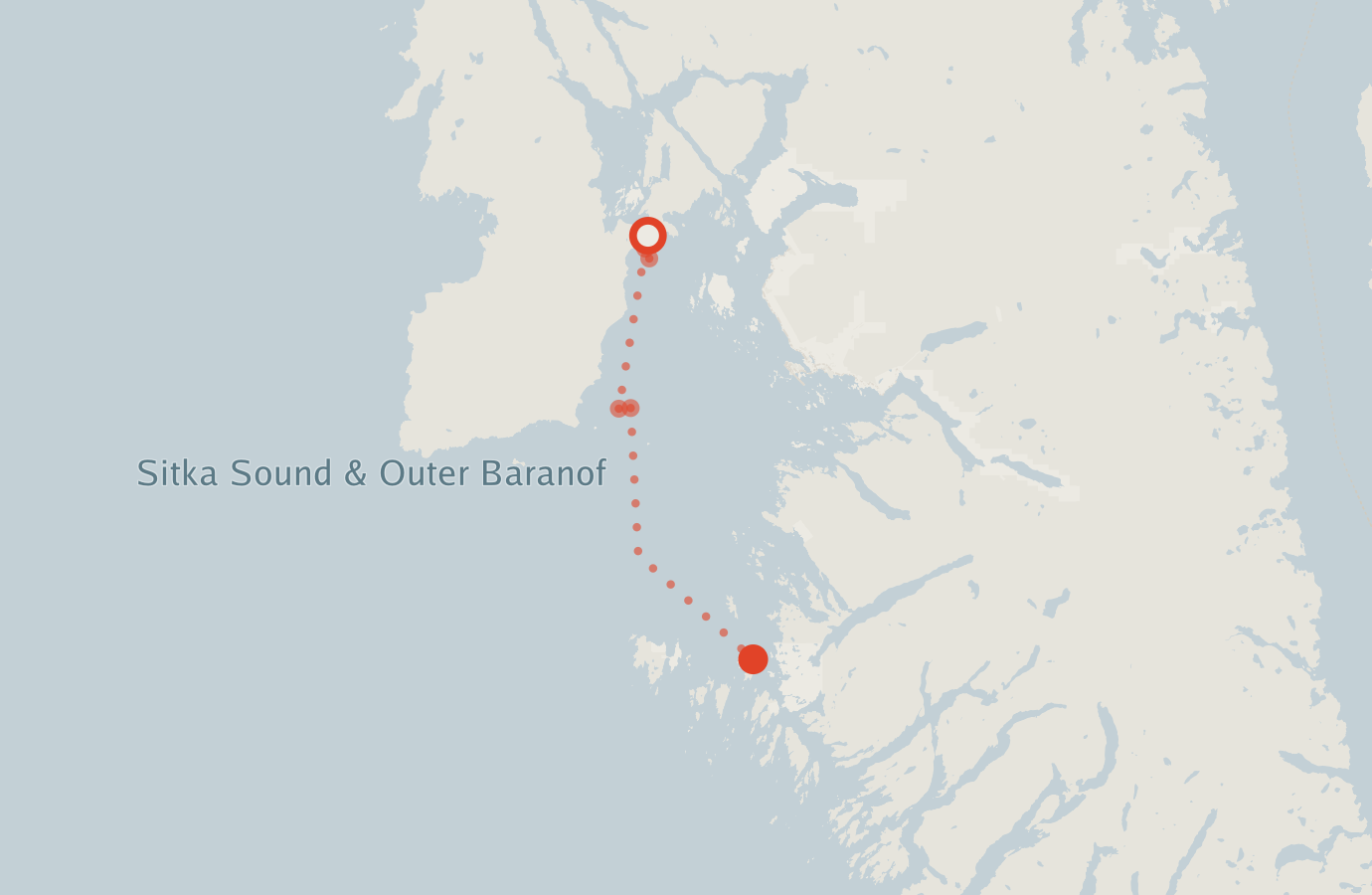 Activity map — real sighting points on an OpenStreetMap basemap