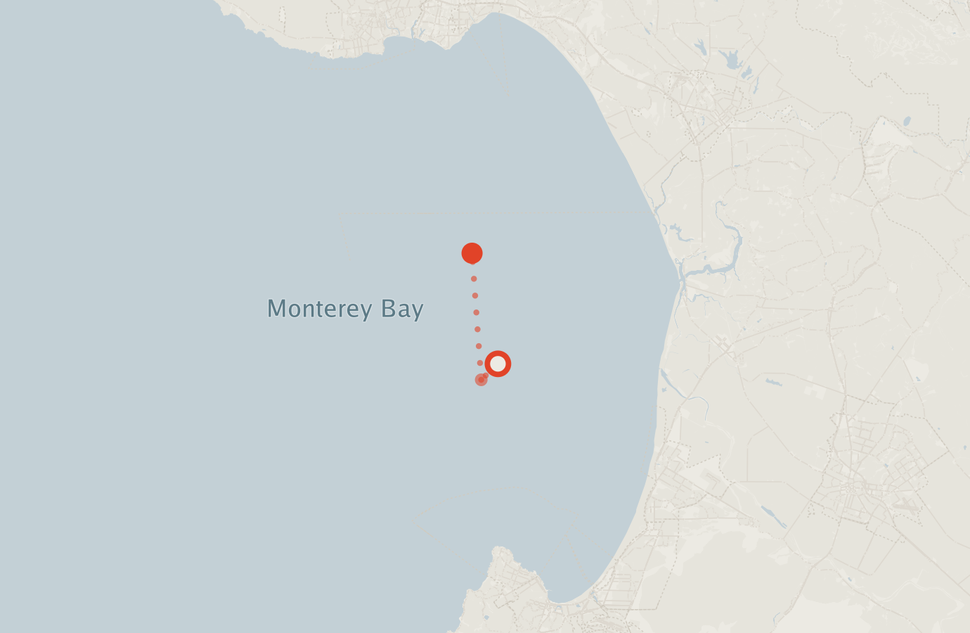Activity map — real sighting points on an OpenStreetMap basemap