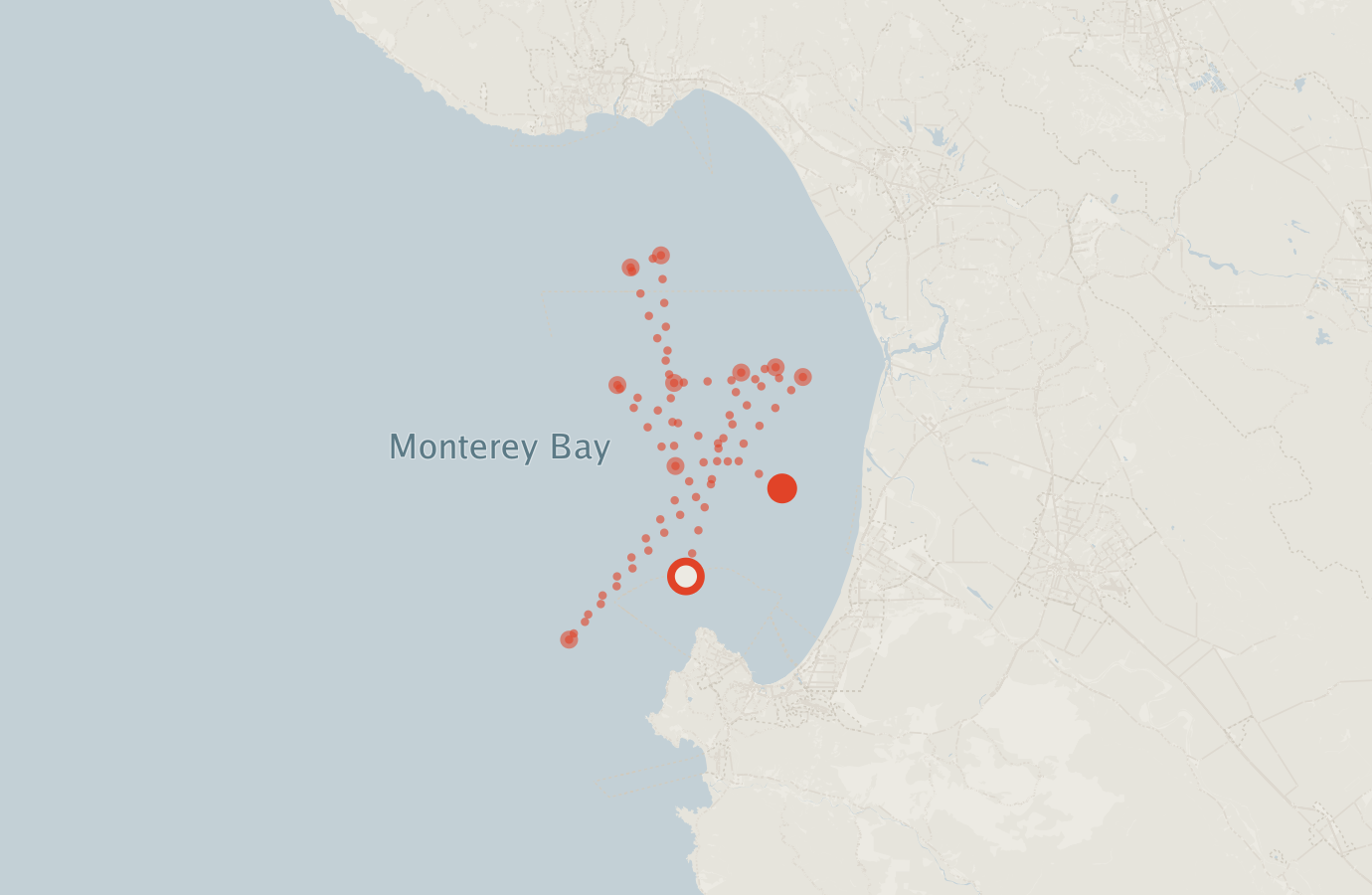 Activity map — real sighting points on an OpenStreetMap basemap