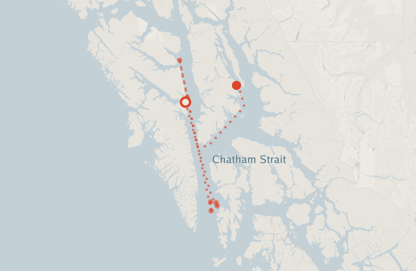 Activity map — real sighting points on an OpenStreetMap basemap