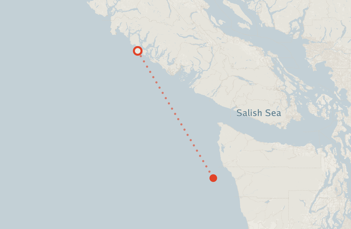 Activity map — real sighting points on an OpenStreetMap basemap