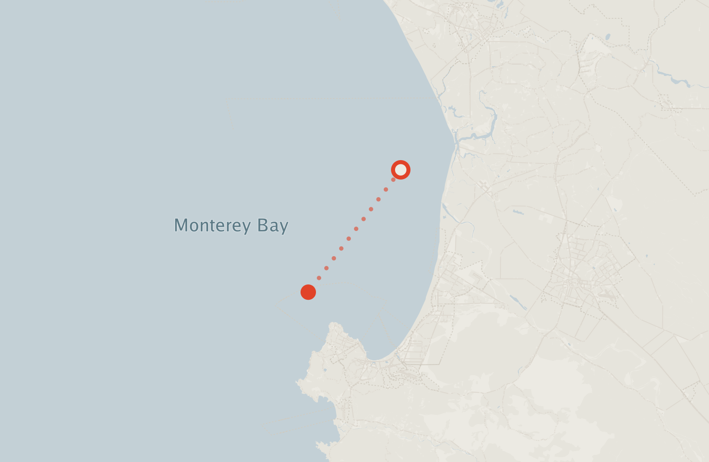 Activity map — real sighting points on an OpenStreetMap basemap