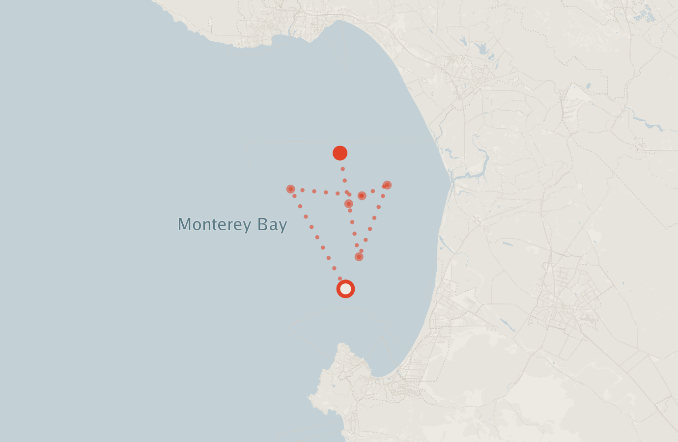 Activity map — real sighting points on an OpenStreetMap basemap